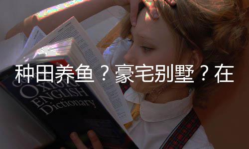 境传养鱼一座豪种田宅别在蜀个性打造的仙府墅说中十足