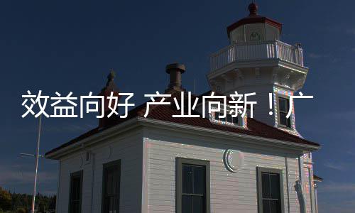 年营润实集团业向环保增长 产效益向好新现双广东位数收利