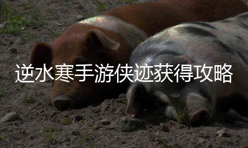 逆水迹获游侠寒手得攻略